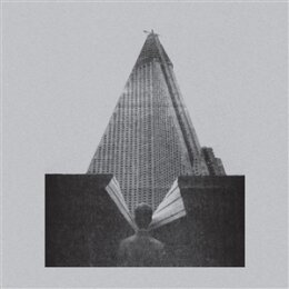 MOLCHAT DOMA - S KRYSH NASHIKH DOMOV (LTD. YELLOW VINYL)...