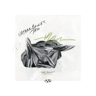 NATHAN BOWLES TRIO - ARE POSSIBLE - CD