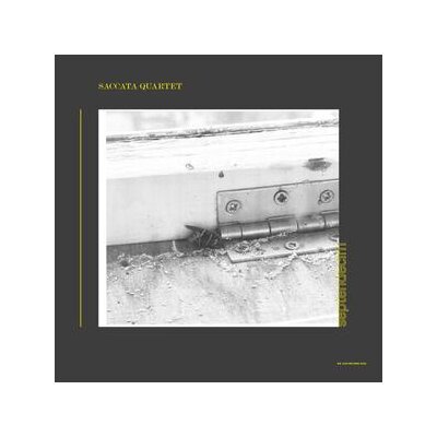 SACCATA QUARTET - SEPTENDECIM - LP