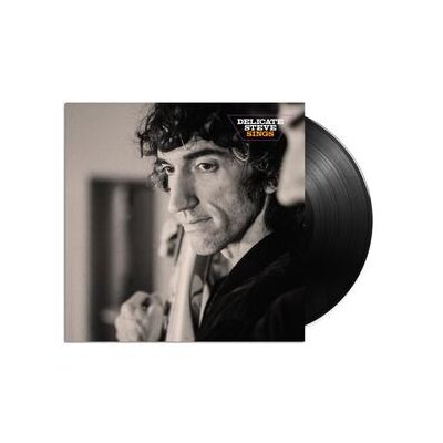 DELICATE STEVE - DELICATE STEVE SINGS - LP
