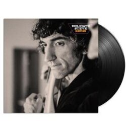 DELICATE STEVE - DELICATE STEVE SINGS - LP