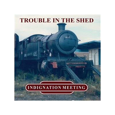 INDIGNATION MEETING - TROUBLE IN THE SHED (GREEN VINYL) - LP