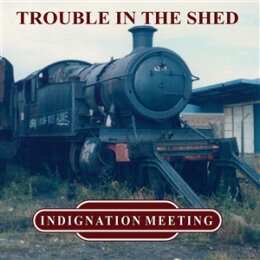 INDIGNATION MEETING - TROUBLE IN THE SHED (GREEN VINYL) - LP