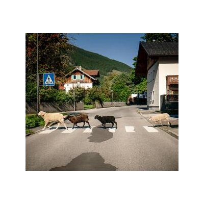 PONGRATZ, MAXI - I MECHT AN LANDLA HEAN (LIMITED BONUSTRACK EDITION) - LP