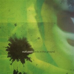EIAFUAWN - BIRDS IN THE GROUND - CD