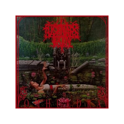 TUSENÅRSEKEN - OMHULDRA - CD