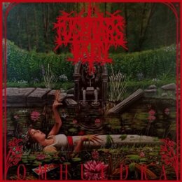 TUSENÅRSEKEN - OMHULDRA - CD