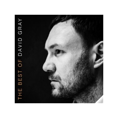GRAY, DAVID - THE BEST OF DAVID GRAY - CD