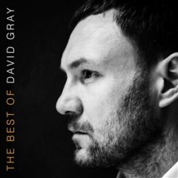 GRAY, DAVID - THE BEST OF DAVID GRAY - CD