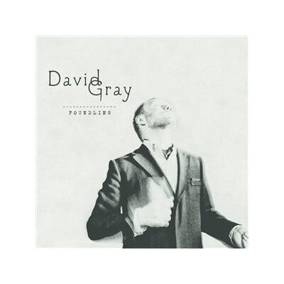 GRAY, DAVID - FOUNDLING - CD