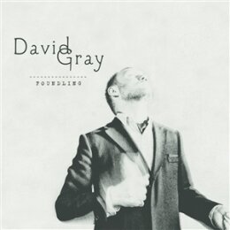 GRAY, DAVID - FOUNDLING - CD
