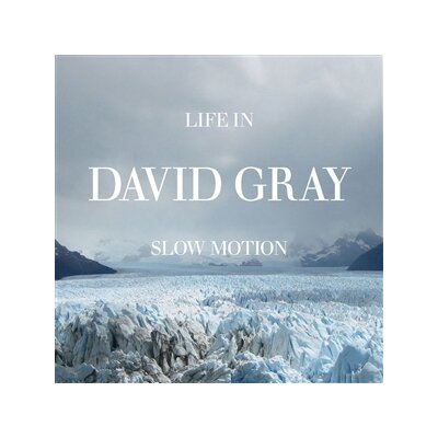 GRAY, DAVID - LIFE IN SLOW MOTION - CD