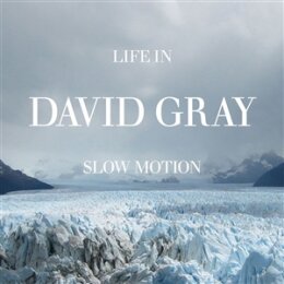 GRAY, DAVID - LIFE IN SLOW MOTION - CD