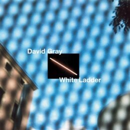 GRAY, DAVID - WHITE LADDER - CD