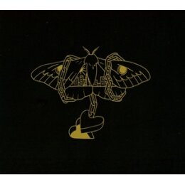 GRAY, DAVID - GOLD IN A BRASS AGE - CD