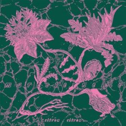 CITRON CITRON - MARÉETERNELLE - LP