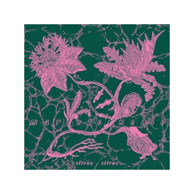 CITRON CITRON - MARÉETERNELLE - CD