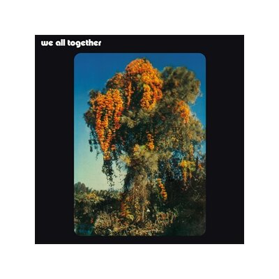 WE ALL TOGETHER - WE ALL TOGETHER - LP