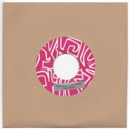 STANCE BROTHERS, THE - SAO PAOLO (7" EDIT) / TIMMY -...