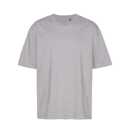 Neutral - Tiger Cotton Oversized T-Shirt (T60011 ) - sporty grey