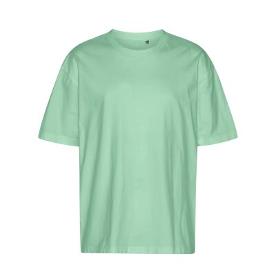 Neutral - Tiger Cotton Oversized T-Shirt (T60011 ) - dusty mint