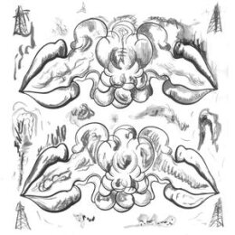 WHAT ARE PEOPLE FOR?/THE NOTWIST - CRIMINALS/ILLUSIONS -...