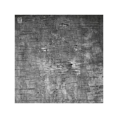 ARCHAMBAULT, TIMOTHY - ONIMIKIG - LP