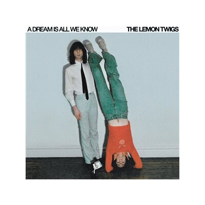 LEMON TWIGS, THE - A DREAM IS ALL WE KNOW - LP