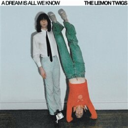 LEMON TWIGS, THE - A DREAM IS ALL WE KNOW - LP