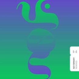 VARIOUS - NO FORMAT! REMIXED (2004-2024) - LP