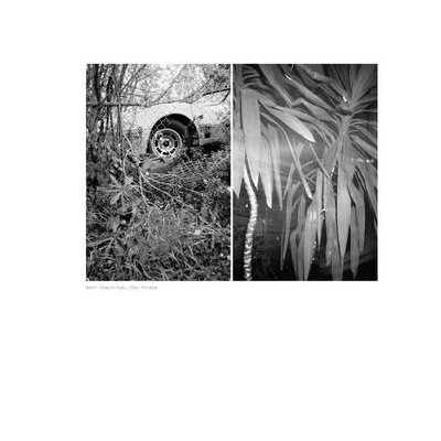 TEMPLETON, MARK - TWO VERSES - LP