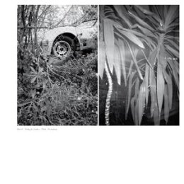 TEMPLETON, MARK - TWO VERSES - LP