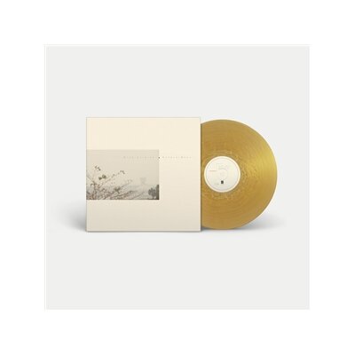 WILD NOTHING - GOLDEN HAZE (GOLDEN HAZE VINYL) - 12"