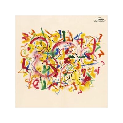 SEGALL, TY - LOVE RUDIMENTS - LP