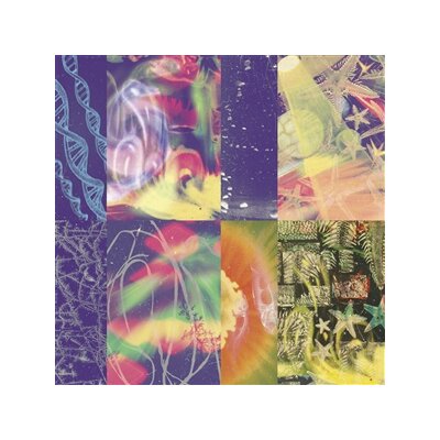 NAP EYES - THE NEON GATE - LP