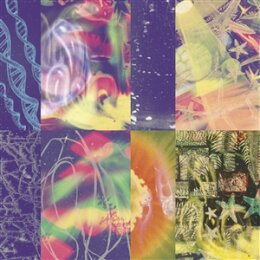 NAP EYES - THE NEON GATE - CD