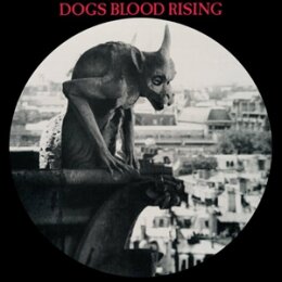 CURRENT 93 - DOGS BLOOD RISING (PICTURE DISC) - LP