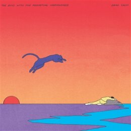 BOYS WITH THE PERPETUAL NERVOUSNESS, THE - DEAD CALM...