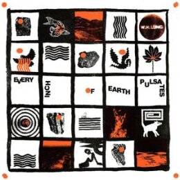 W.H. LUNG - EVERY INCH OF EARTH PULSATES - CD