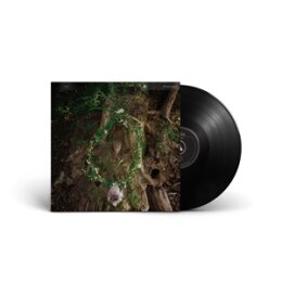 PHARMAKON - MAGGOT MASS - LP