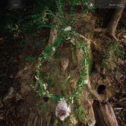 PHARMAKON - MAGGOT MASS - CD