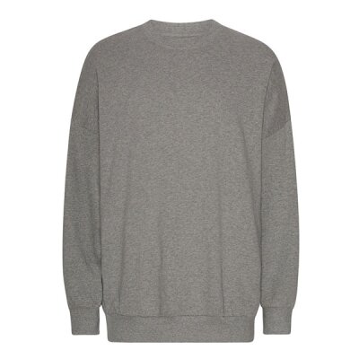 Neutral - Tiger Cotton Oversized Sweatshirt (T63011) - sport grey L