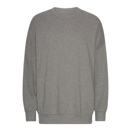 Neutral - Tiger Cotton Oversized Sweatshirt (T63011) -...