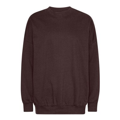 Neutral - Tiger Cotton Oversized Sweatshirt (T63011) - brown