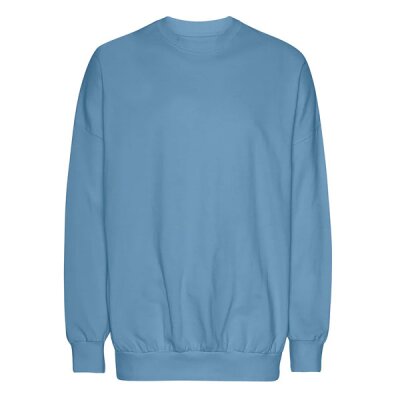 Neutral - Tiger Cotton Oversized Sweatshirt (T63011) - dusty indigo