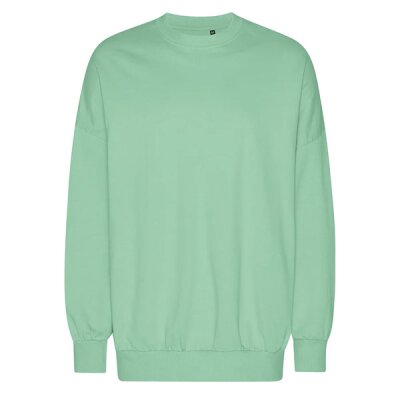 Neutral - Tiger Cotton Oversized Sweatshirt (T63011) - dusty mint