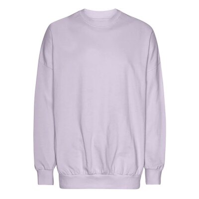 Neutral - Tiger Cotton Oversized Sweatshirt (T63011) - dusty purple S