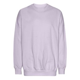Neutral - Tiger Cotton Oversized Sweatshirt (T63011) -...