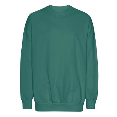 Neutral - Tiger Cotton Oversized Sweatshirt (T63011) - teal L