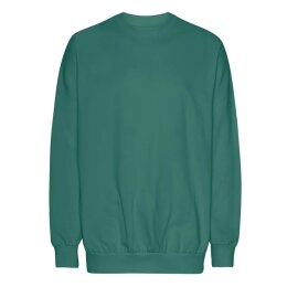 Neutral - Tiger Cotton Oversized Sweatshirt (T63011) -...